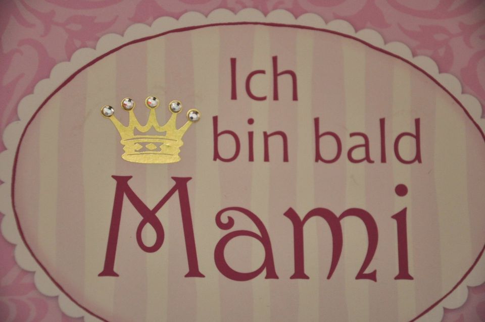Neuwertig Das Mami Buch + Ordner unbenutzt Schwangerschaft Geburt in Dresden