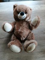 Teddybär mit Brummstimme Nordrhein-Westfalen - Büren Vorschau