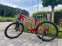 Fahrrad Mountainbike MTB rot müsing 26 Zoll Baden-Württemberg - Neukirch Vorschau