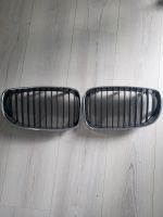 1er BMW E88 Nieren/Grill Baden-Württemberg - Neckarwestheim Vorschau