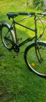 Fahrrad zu verkaufen Brandenburg - Rietz-Neuendorf Vorschau