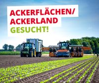 Ackerflächen/Ackerland gesucht! Niedersachsen - Cappeln (Oldenburg) Vorschau