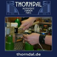 Der THORNDAL Repairshop bietet an: E-Gitarre Bünde austauschen Bayern - Bad Berneck i. Fichtelgebirge Vorschau