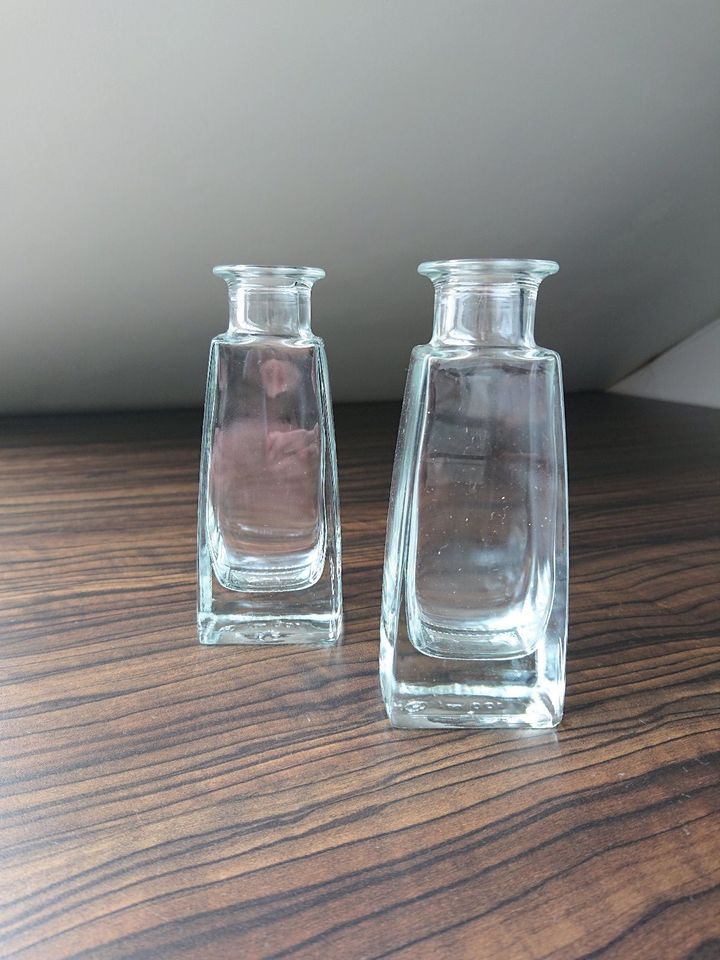 2 kleine transparente Glas-Vasen in Hockenheim