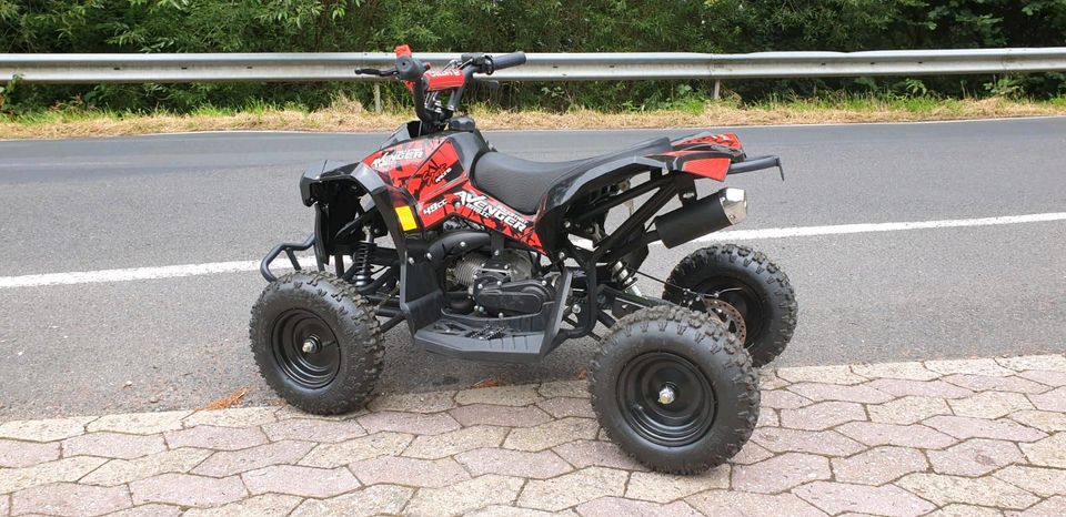 pocketquad  49cc mini Kinder Quad Avenger Sport 6" in Bad Breisig 