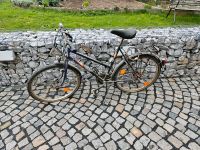 Für Bastler/ Fahrrad Sachsen - Mügeln Vorschau