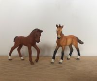 2 Schleich Fohlen Berlin - Zehlendorf Vorschau