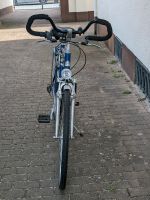 PEGASUS Trekking Fahrrad 28 Zoll Hessen - Heusenstamm Vorschau