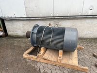 Elektromotor Flender ATB-Loher ANGA-315LB-42P 142/172 kW Bielefeld - Brackwede Vorschau