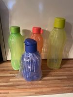 Tupperware Eco Trinkflaschen 500 ml und 750ml und Büffel Nordrhein-Westfalen - Inden Vorschau