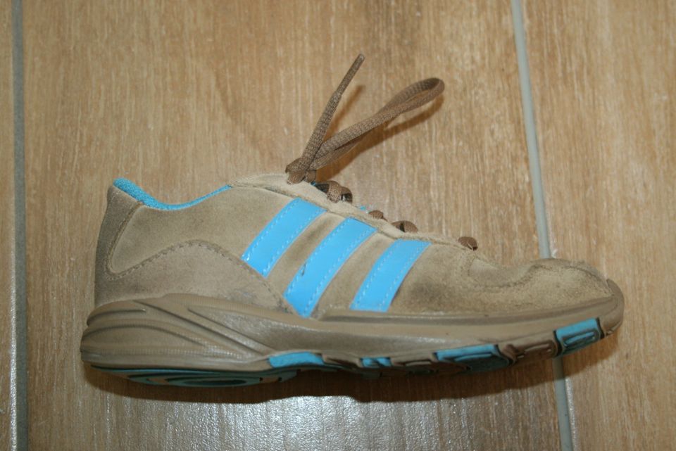 Adidas Turnschuhe Sneaker Echt Leder Gr. 26 27 neuwertig in Ronneburg