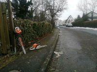 Grünschnitt Hecke schneiden Rodung Grünanlagen Gartenabfall Hessen - Bad Soden-Salmünster Vorschau