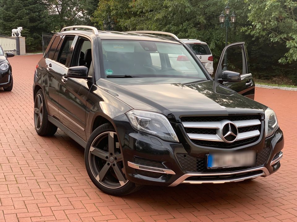 Glk 220 Harman Kardon AHK Leder Xenon in Melle