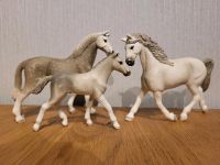 Holsteiner Schleich Nordrhein-Westfalen - Marl Vorschau