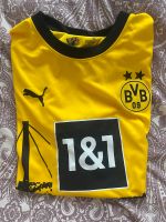 BVB Trikot Mecklenburg-Vorpommern - Stralsund Vorschau