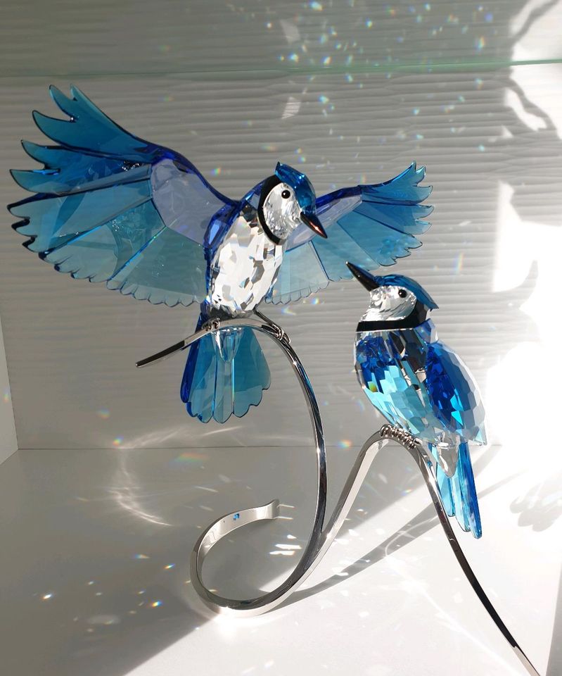 Swarovski Figur Blauhäher Vogel Kristallfigur Dekofigur Sammler in Hückelhoven