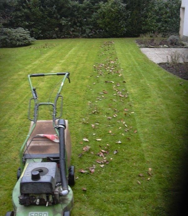 Gartenarbeit, Heckenschnitt, Gartenpflege, Hecke in Hamburg