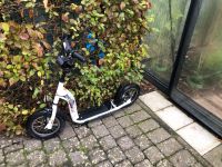 Bikestar Roller bis 50 kg Rheinland-Pfalz - Unkel Vorschau