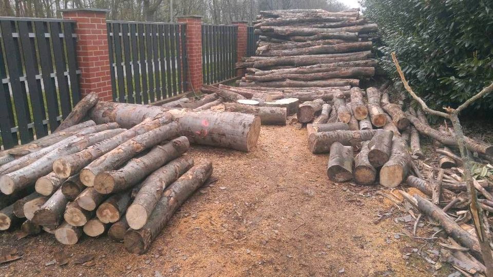 Buche Brennholz fertig gespalten mit Lieferung in Salzgitter