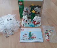 Lego Weihnachten Eisbären 40571 100% vollständig neuwertig Dresden - Neustadt Vorschau