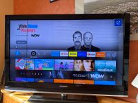 Grundig TV mit Amazon Firestick Saarland - Quierschied Vorschau