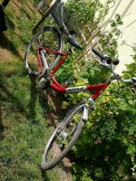 Epple Fahrrad Treckingbike an Bastler oder zum Ausschlachten Hessen - Erzhausen Vorschau