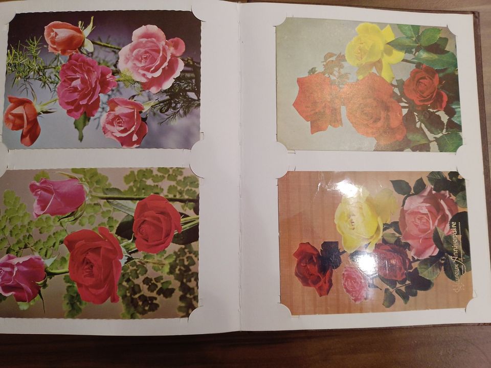 Postkarten Rosen im Album in Schildau
