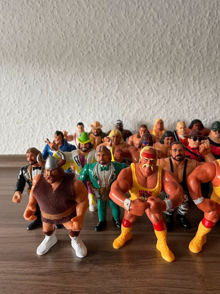 WWF Hasbro Wrestling Figuren Actionfiguren vintage in Essen