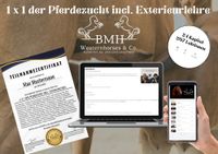 Online-Kurs, 1 x 1 der Pferdezucht Thüringen - Greiz Vorschau
