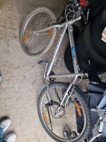 Giant fahrrad  Mountainbike 26 zoll,? Baden-Württemberg - Herbolzheim Vorschau