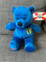 Florida Sammlerteddy 2002 Teddy Bear ❤️ Symbolz USA Altona - Hamburg Ottensen Vorschau