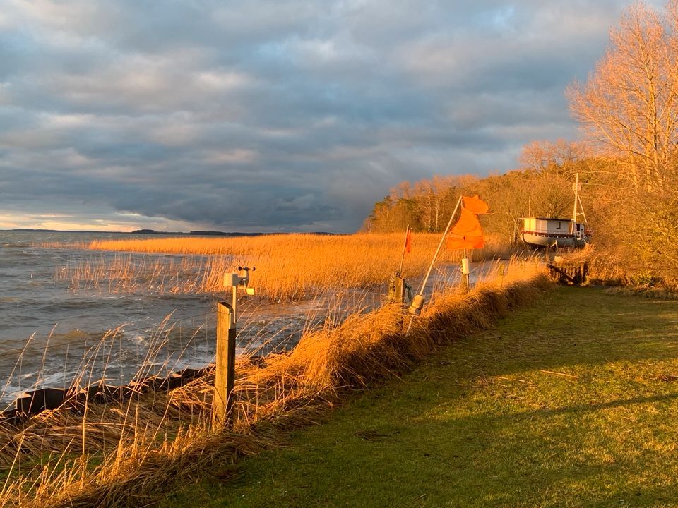 Ferienhaus am Wasser / Insel Usedom / Hund /Ostsee / Achterwasser in Seebad Bansin