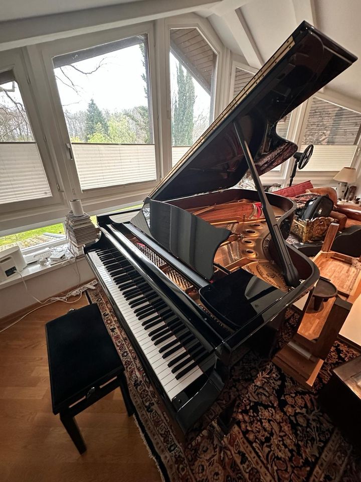 STEINWAY & SONS Flügel, Modell B-211, Piano, Konzert-Flügel in Bad Homburg