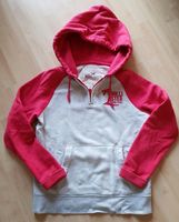 Hollister Hoodie M Rheinland-Pfalz - Hauenstein Vorschau