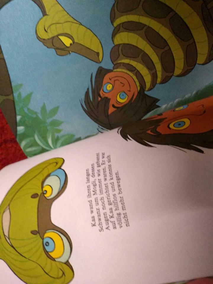 Disney der König der Löwen, Dschungelbuch, Schneider Sammelband in Weißenburg in Bayern