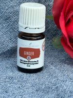 Young Living - Ginger - 5 ml OVP II Nordrhein-Westfalen - Hagen Vorschau