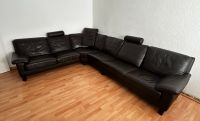 Echt Leder Couch Longlife by W.Schillig Schleswig-Holstein - Bad Oldesloe Vorschau