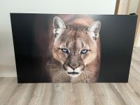 Leinwandbild Puma Niedersachsen - Emden Vorschau
