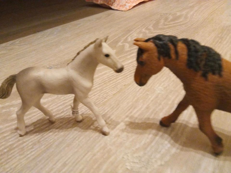 Schleich Pferde/Fohlen in Heidelberg