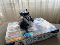 Cyber TALK Roboter Baden-Württemberg - Heilbronn Vorschau