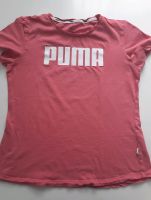 Original Puma T-Shirt Baden-Württemberg - Dettingen an der Erms Vorschau
