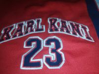 Vintage 90er Karl Kani Sport 23 Hose Shorts Basketball Jordan Baden-Württemberg - Bad Liebenzell Vorschau