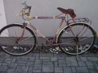 DDR Diamant Sport Herren Fahrrad 75 Jahre Diamant Fahrräder Rarit Sachsen - Bad Lausick Vorschau