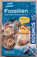 ***Neues*** Mitbring Experiment Fossilien von Kosmos Bayern - Möhrendorf Vorschau