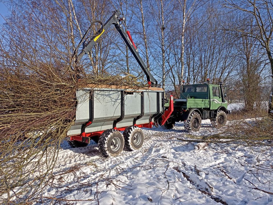 Holzrücken Holztransport Rückewagen Fällgreifer in Windischeschenbach