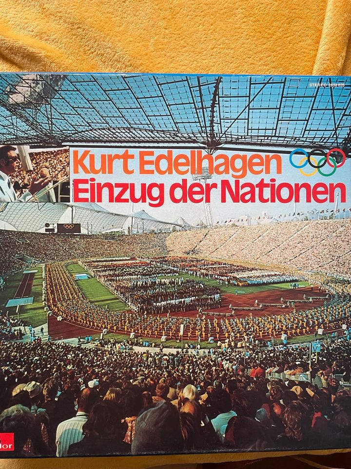 Schallplatten Diverse 23 Stk. gebraucht 12“ in Fürth