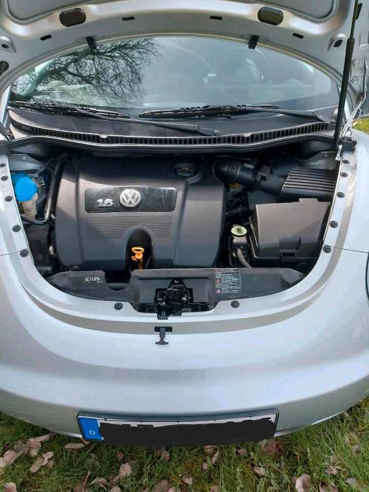 VW Beetle Cabrio in Seffern