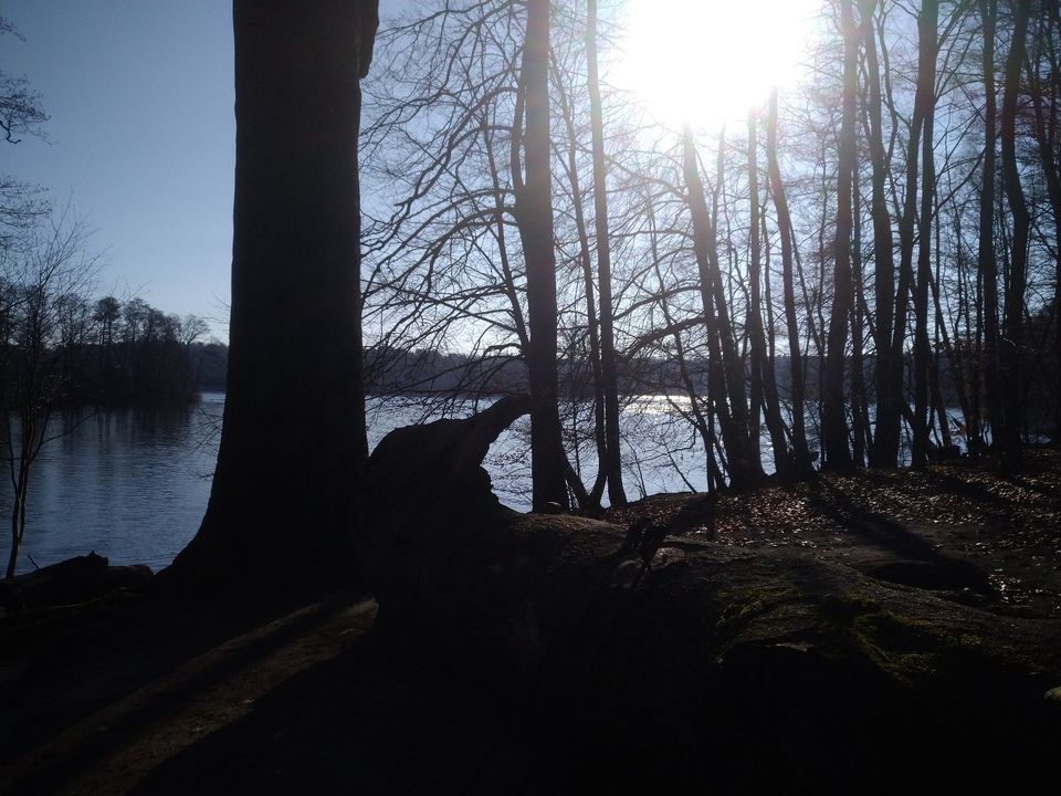 Wohnung im Ferienhaus am Tor der Mecklenburgischen Seenplatte in Fürstenberg/Havel