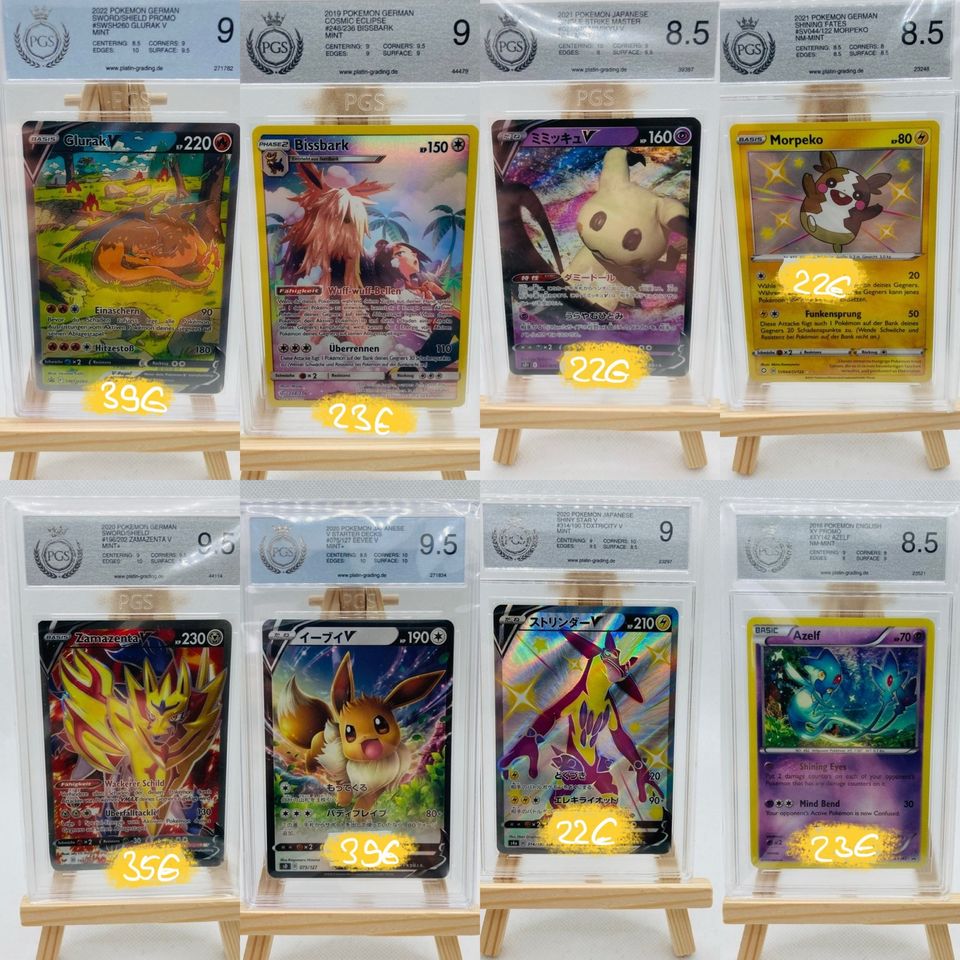 PSA Grading Pokémon Karten, One Piece, Pikachu Promo, Glurak, Mew in Potsdam