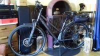 Sehr elegantes Elektrofahrrad E-Bike Pegasus Hessen - Butzbach Vorschau